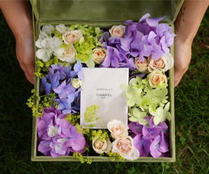 Luxury Velvet Gift Box In Olive Green Square Shape