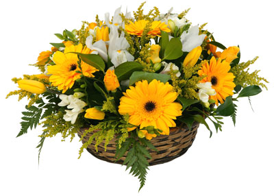A radiant basket of bright yellow tones that will bring happiness to anyone's day