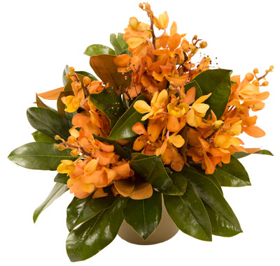 Beautifully bold flowers