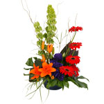 A striking arrangement that will bring style to any house or office