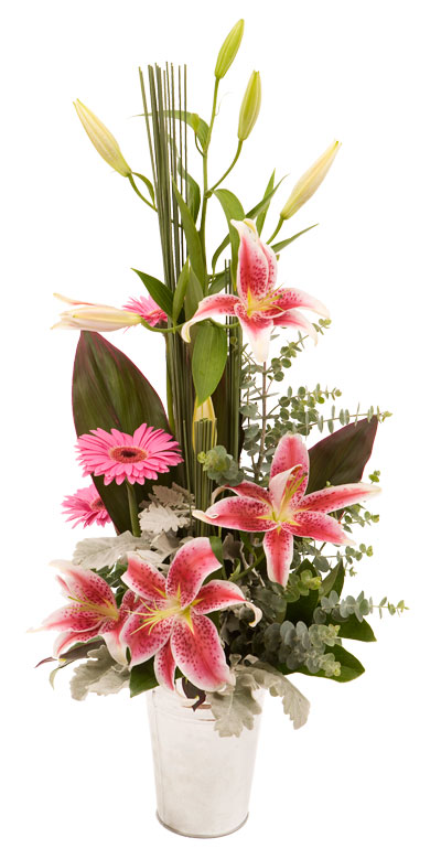  Add a modern touch to any home or office with this beautiful modern arrangement