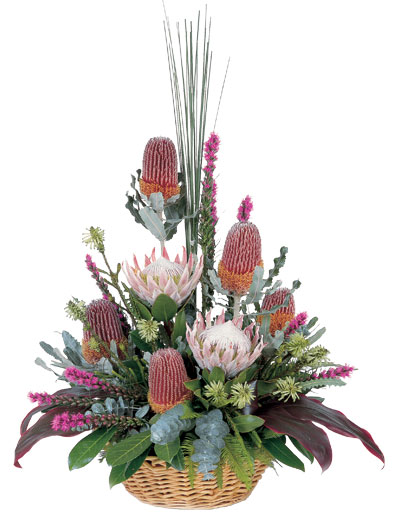 A colourful array of beautiful natives arranged in a basket