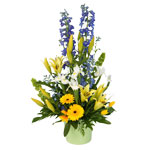 A beatiful, traditional pot arrangement perfect for any occasion!