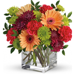 Two gorgeous gifts in one! Celebrate any occasion with this arrangement of bright blooms, stylishly presented in a glass cube!