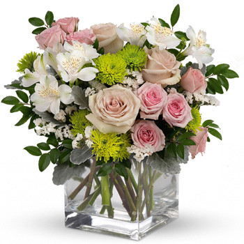 Clear glass cube arrangement of soft pink roses, mid pink spray roses, white alstroemeria & statice, green cushion spray chrysan