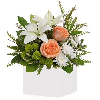 White box arrangement of peach/apricot roses, white asiatic lilies & cushion spray chrysanthemums, green button spray chrysanthe