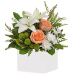 White box arrangement of peach/apricot roses, white asiatic lilies & cushion spray chrysanthemums, green button spray chrysanthe
