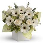 - Send serenity with this artful arrangement of pure white roses and gerberas.