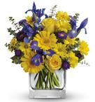 - As invigorating as a cool summer breeze, this amazing arrangement pairs eye-catching iris with golden gerberas and roses for a