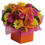 Joyful moments call for happy flowers! This box of blooms does the trick