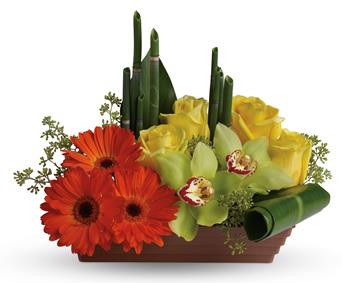 Send Zen. Capture the peaceful energy of the rising sun with this artful, Asian-inspired arrangement of orchids, gerberas, roses