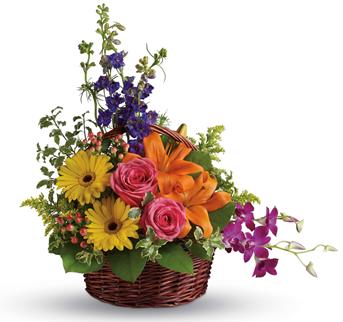 Celebrate their greatness with this glorious rainbow of lilies, roses, gerberas, orchids and delphinium!