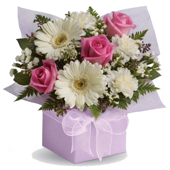 Share your sweet thoughts with this lady like arrangement of pure white gerberas, candy pink roses and soft white carnations