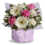 Share your sweet thoughts with this lady like arrangement of pure white gerberas, candy pink roses and soft white carnations