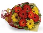 - Brighten someones day by sending a beautiful mix of colourful gerberas.