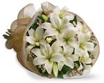- Let someone know they are special by sending these fragrant blooms of bright white and cream lilies.