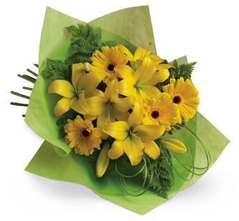 - Pure sunshine! Send sunny thoughts to someone special with this bouquet of warm yellow lilies and bright gerberas.