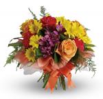 - Send a gift of precious moments - a perfectly pretty bouquet of daisies, roses, carnations and alstroemeria,hand-tied with a l