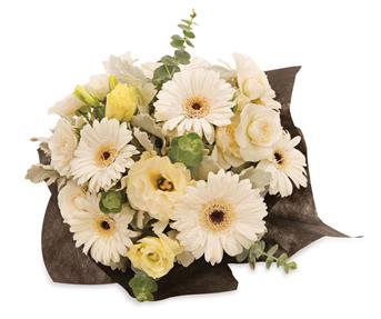 - An elegant arrangement of white gerberas, lisianthus and spray roses that will lighten up any room.