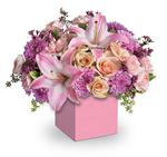 - Perfectly peach spray roses, asiatic lilies, carnations and spray chrysanthemums fill this cute mini box.