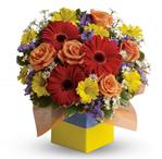 - Youll want to put this colourful arrangement on your hit parade of gifts to send. Bold primary colours and a perfect mix of f