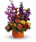 - Warm, rich colours of yellow, red and purple are contrasted with fresh green. Presented in a vibrant gift box thats adorned w