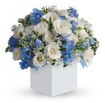 - Celebrate the coolest baby boys arrival with this charming box arrangement that arrives chock full of pretty flowers. Perfect