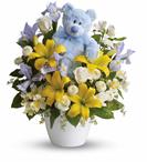 - This adorable arrangement will brighten any room with its beautiful blooms and soft blue bear. The perfect gift for a new baby