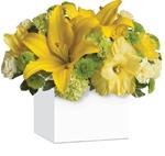 - Shower them with sunshine! An abundance of yellow and green blooms bursts from this stylish container, bringing smiles along w