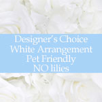 White arrangement NO LILYS - florist choice pet friendly flowers