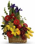 - A healthy gift for all the family! A fruit and flower combo of seasonal fruit and flowers.