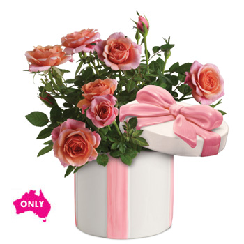 Surprise her with this delightful gift , pink roses in a charming ceramic hat box