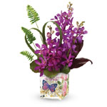 Want to make someone feel like theyre on a tropical  honeymoon? This romantic gift is the perfect choice. Exotic purple orchids