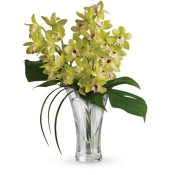 This simple but beautiful display of three cymbidium orchid stems presented in a Heartfelt keepsake vase is an all-purpose gift