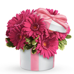 This arrangement of passionately pink gerberas in a Hats Off Keepsake vase gives tradition a twist and warms up any room.