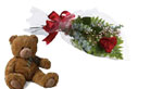 The one, the only. When you have found your single love, celebrate by sending this single rose and a teddy.