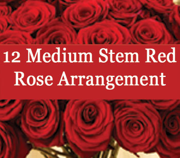 For the one true love in your life