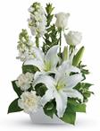 - If you want to send your warmest thoughts to show how much you care, this lovely arrangement with white carnations and lilies