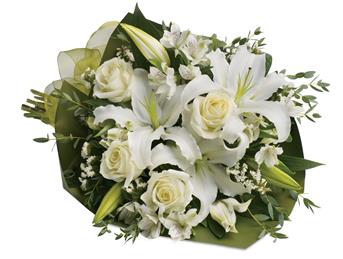 - An elegant expression of sympathy, this wondrous white bouquet conveys purity and peace.