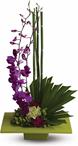 - Its artistic arrangements like this one that make flowers such an integral and beautiful ingredient in feng shui. This gift t