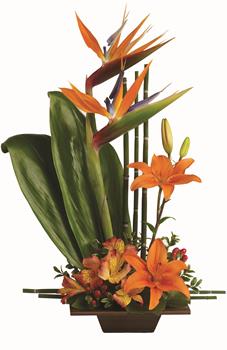 - Arrangement of tall bamboo and birds of paradise complemented by a stunning mix of bright orange blooms.