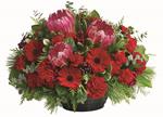 - Help set the mood and the table by sending this delightful Australian native arrangement. Perfect for any occasion.