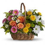 Sweet Tranquility Basket - Coralville
