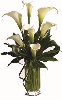 - Your fair lady will love you for sending her this stunning arrangement. A vision in green and white, this definitely is not yo