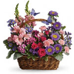 Send Basket Arrangements
