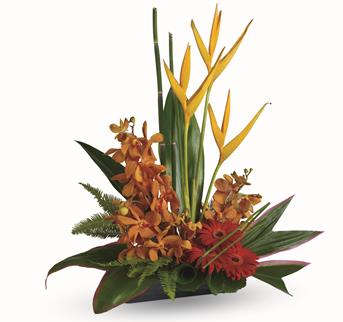 - This gorgeous arrangement, with its bold, beautiful flowers and foliage, offers some of the best of the tropics.