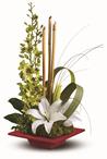 - Theyll be thrilled with this artistic arrangement of orchids, lilies and exotic accents.