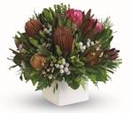 - Immaculate pot arrangement of native flowers. Sure to capture the Aussie spirit.
