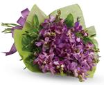 - This eye-catching bouquet of lavender orchids is an eloquent expression of your affection.