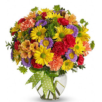 All their wishes will come true when they receive these bright and sunny flowers